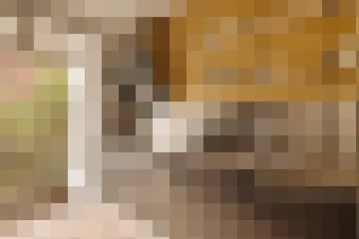 Tweede Kostverlorenkade 135 2 Amsterdam thumbnail 13