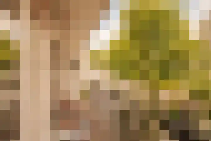 Tweede Kostverlorenkade 135 2 Amsterdam thumbnail 14