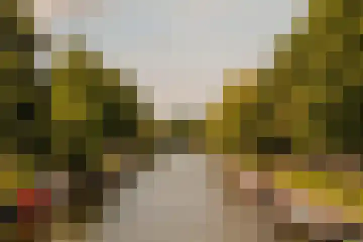 Tweede Kostverlorenkade 135 2 Amsterdam thumbnail 23