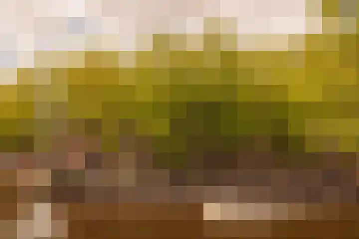 Tweede Kostverlorenkade 135 2 Amsterdam thumbnail 7