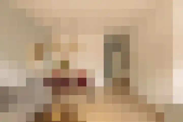 Tweede Kostverlorenkade 135 2 Amsterdam thumbnail 9