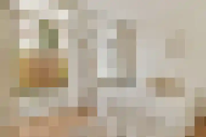 Tweede Kostverlorenkade 138 2 Amsterdam thumbnail 4