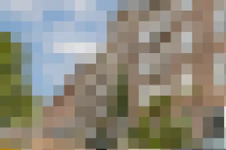 Tweede Kostverlorenkade 138 2 Amsterdam thumbnail 5
