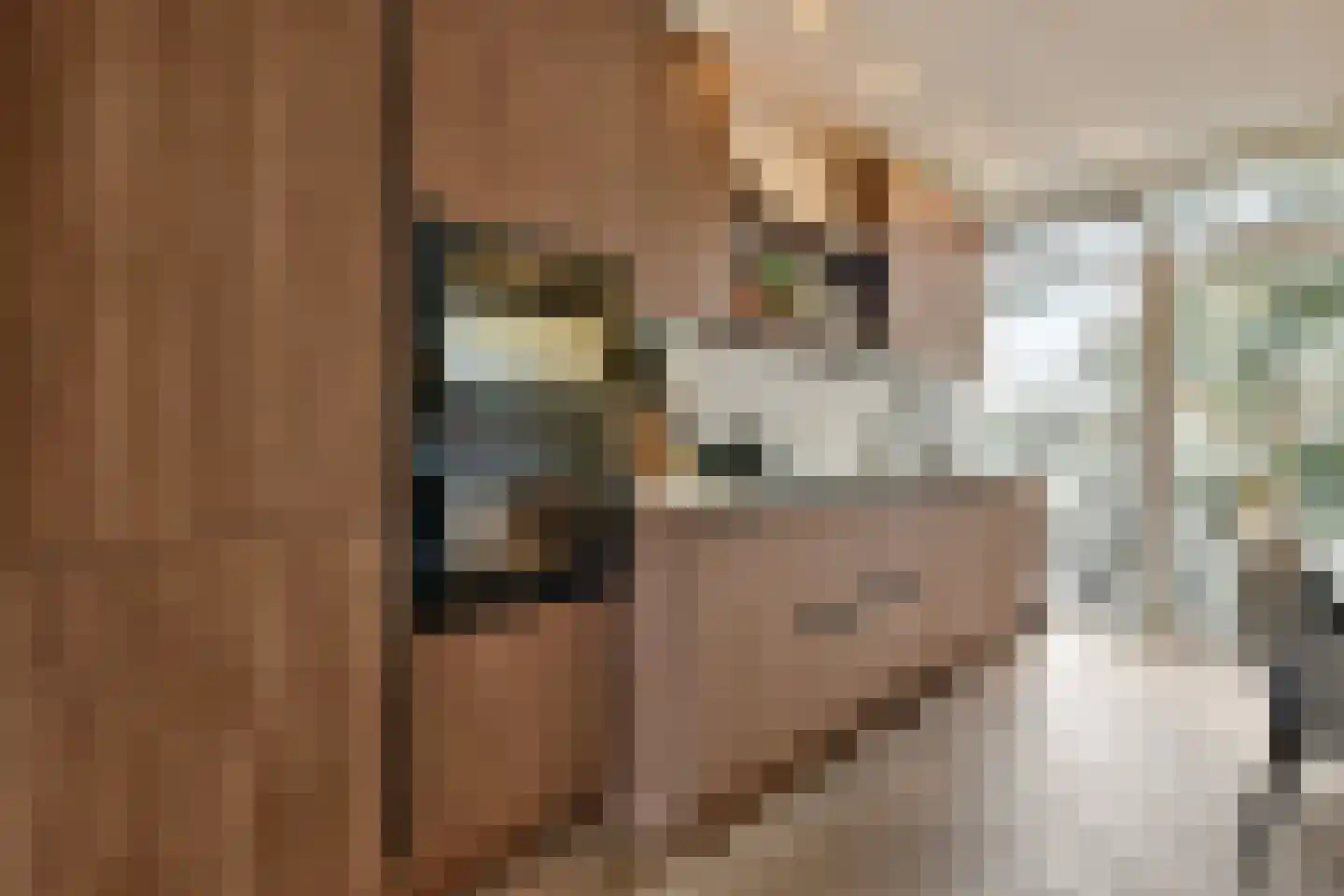 Tweede Kostverlorenkade 151 3 Amsterdam thumbnail 5