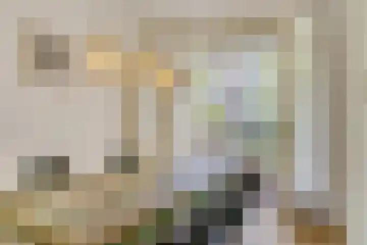 Tweede Kostverlorenkade 155 3 Amsterdam thumbnail 10