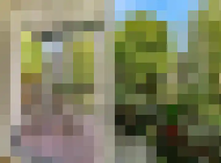 Tweede Kostverlorenkade 155 3 Amsterdam thumbnail 18