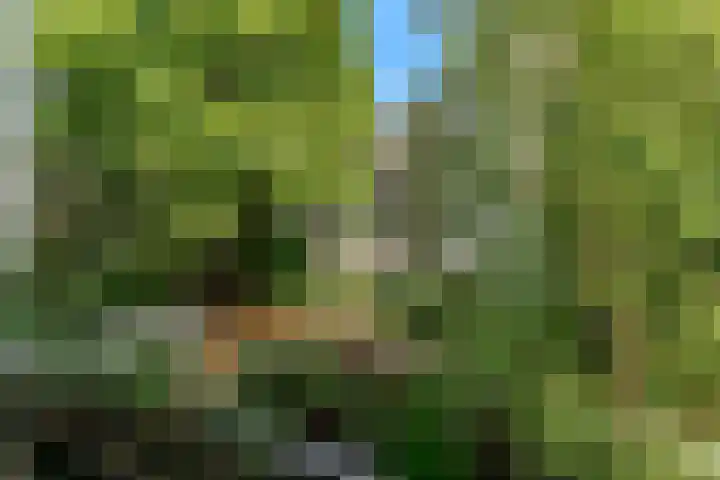 Tweede Kostverlorenkade 155 3 Amsterdam thumbnail 19