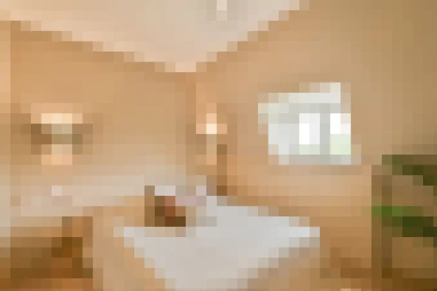 Tweede Kostverlorenkade 19 3 Amsterdam thumbnail 19