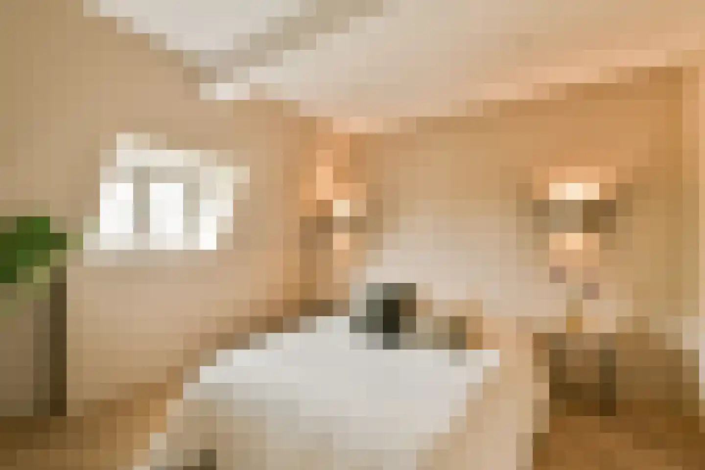 Tweede Kostverlorenkade 19 3 Amsterdam thumbnail 20