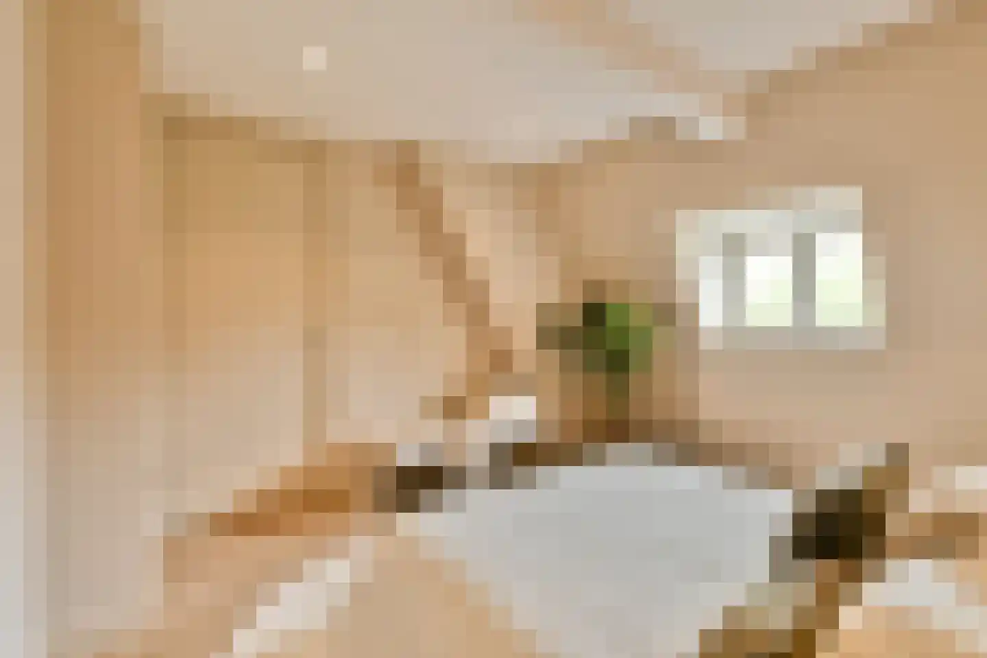 Tweede Kostverlorenkade 19 3 Amsterdam thumbnail 21