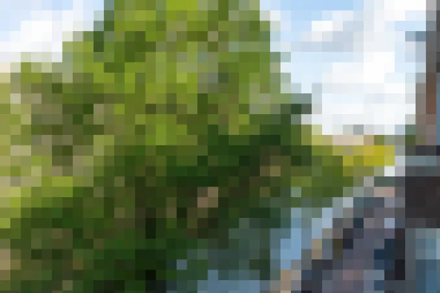 Tweede Kostverlorenkade 19 3 Amsterdam thumbnail 23
