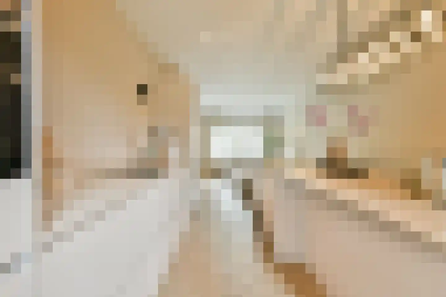 Tweede Kostverlorenkade 19 3 Amsterdam thumbnail 9