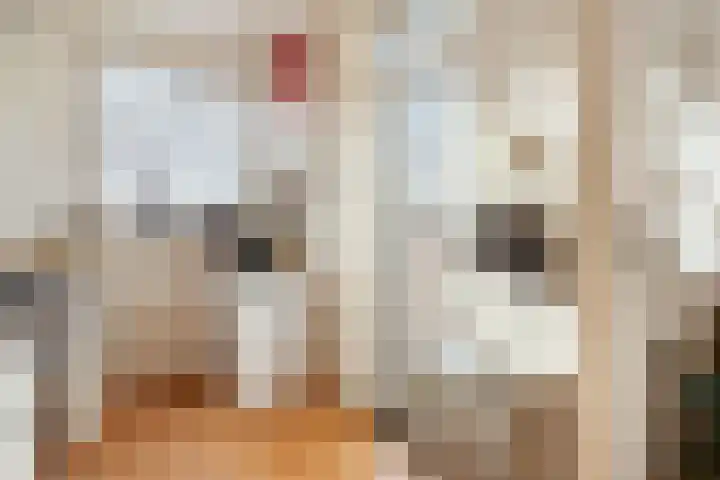 Tweede Kostverlorenkade 2 3 Amsterdam thumbnail 16
