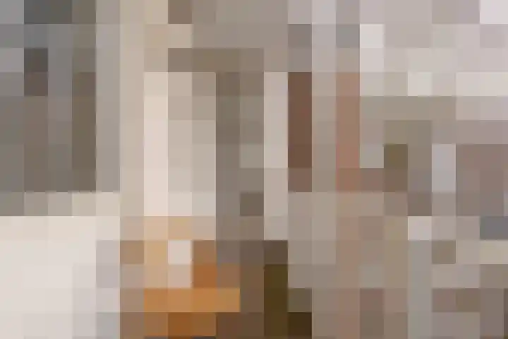 Tweede Kostverlorenkade 2 3 Amsterdam thumbnail 18