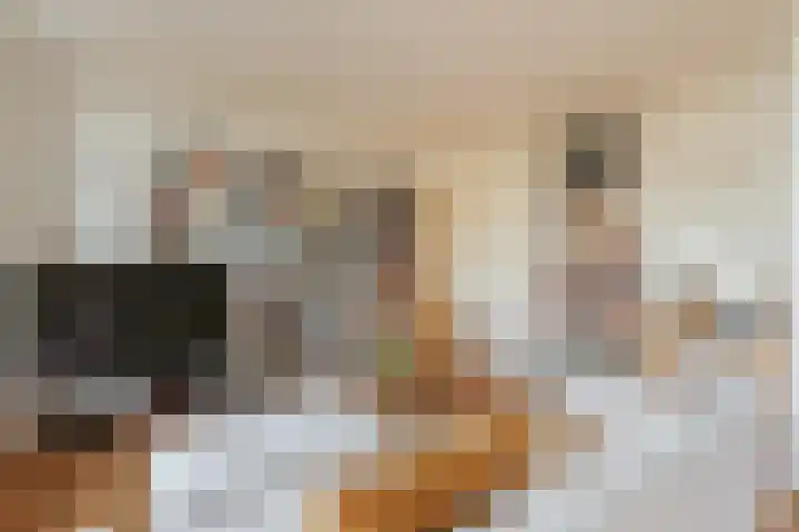 Tweede Kostverlorenkade 2 3 Amsterdam thumbnail 5