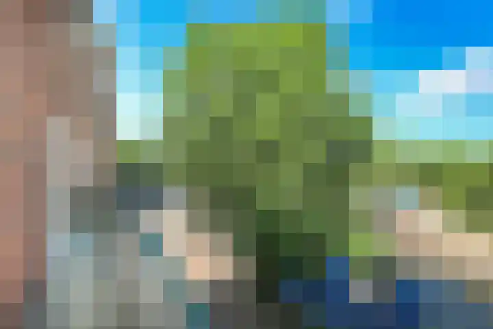 Tweede Kostverlorenkade 20 1 Amsterdam thumbnail 12