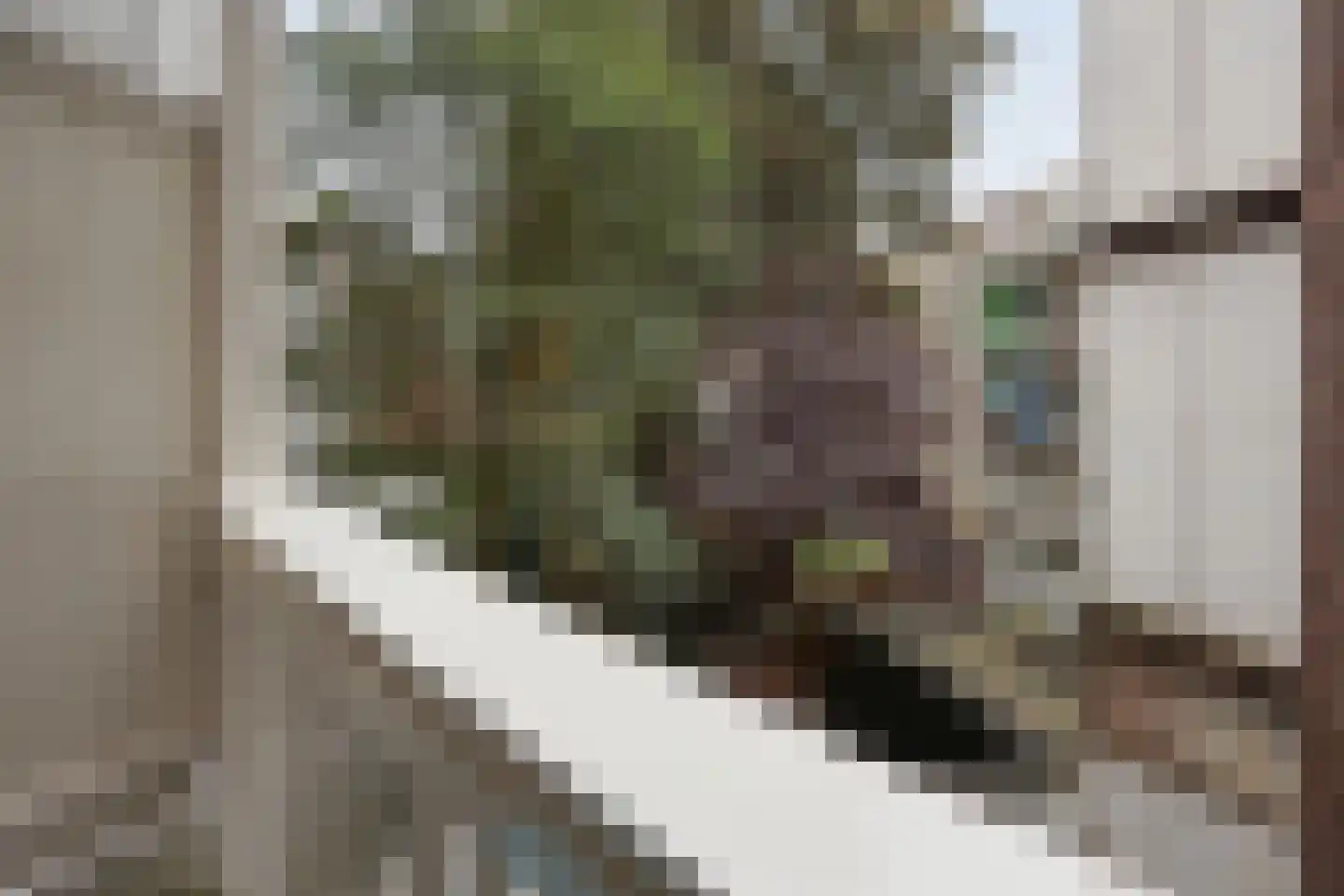 Tweede Kostverlorenkade 28 2 Amsterdam thumbnail 17