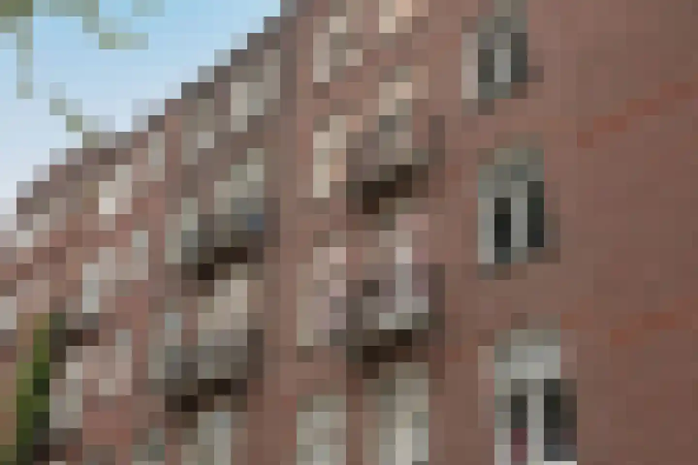 Tweede Kostverlorenkade 28 2 Amsterdam thumbnail 26