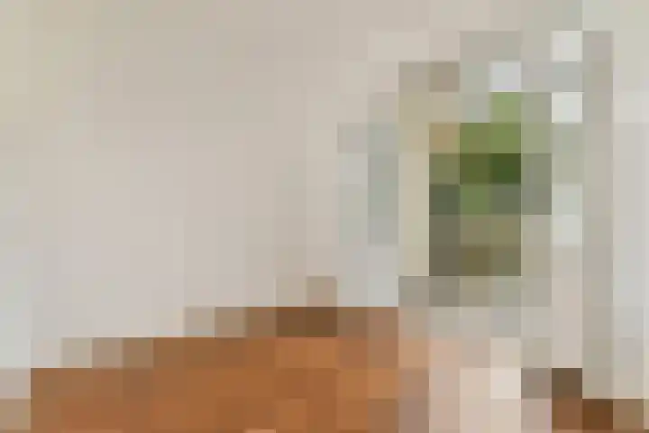 Tweede Kostverlorenkade 4 1 Amsterdam thumbnail 13