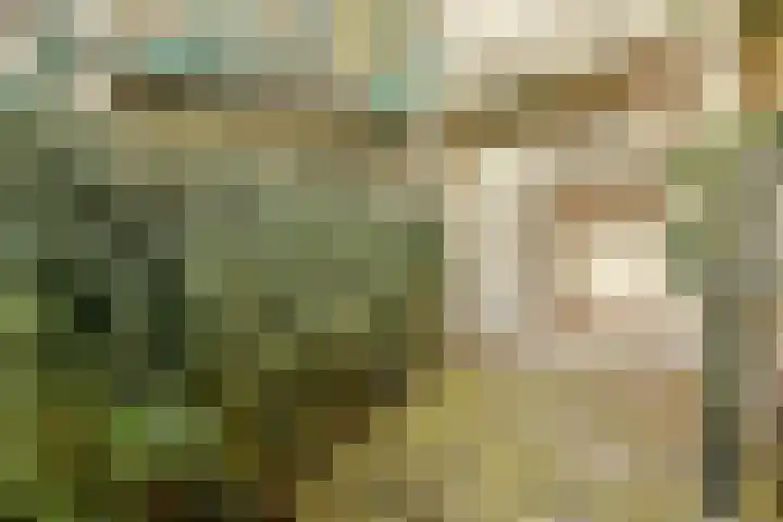 Tweede Kostverlorenkade 4 1 Amsterdam thumbnail 18