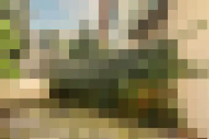 Tweede Kostverlorenkade 4 1 Amsterdam thumbnail 5