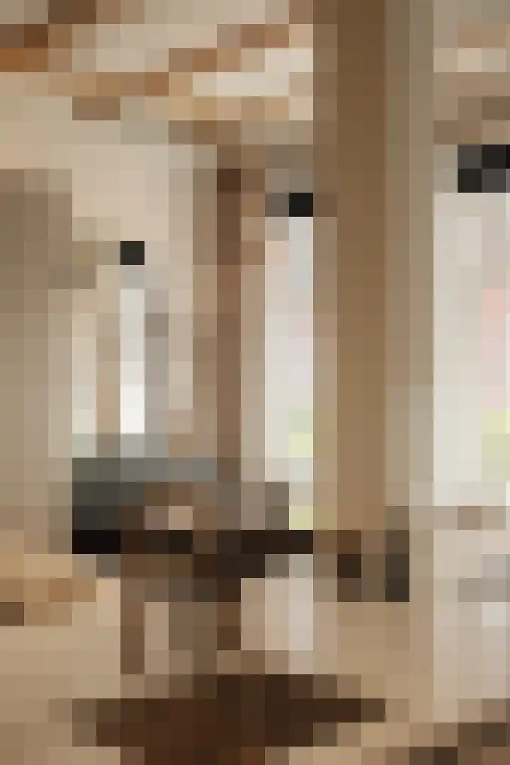 Tweede Laurierdwarsstraat 45 H Amsterdam thumbnail 7