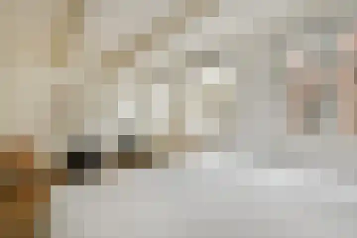 Tweede Leliedwarsstraat 2 1 Amsterdam thumbnail 21