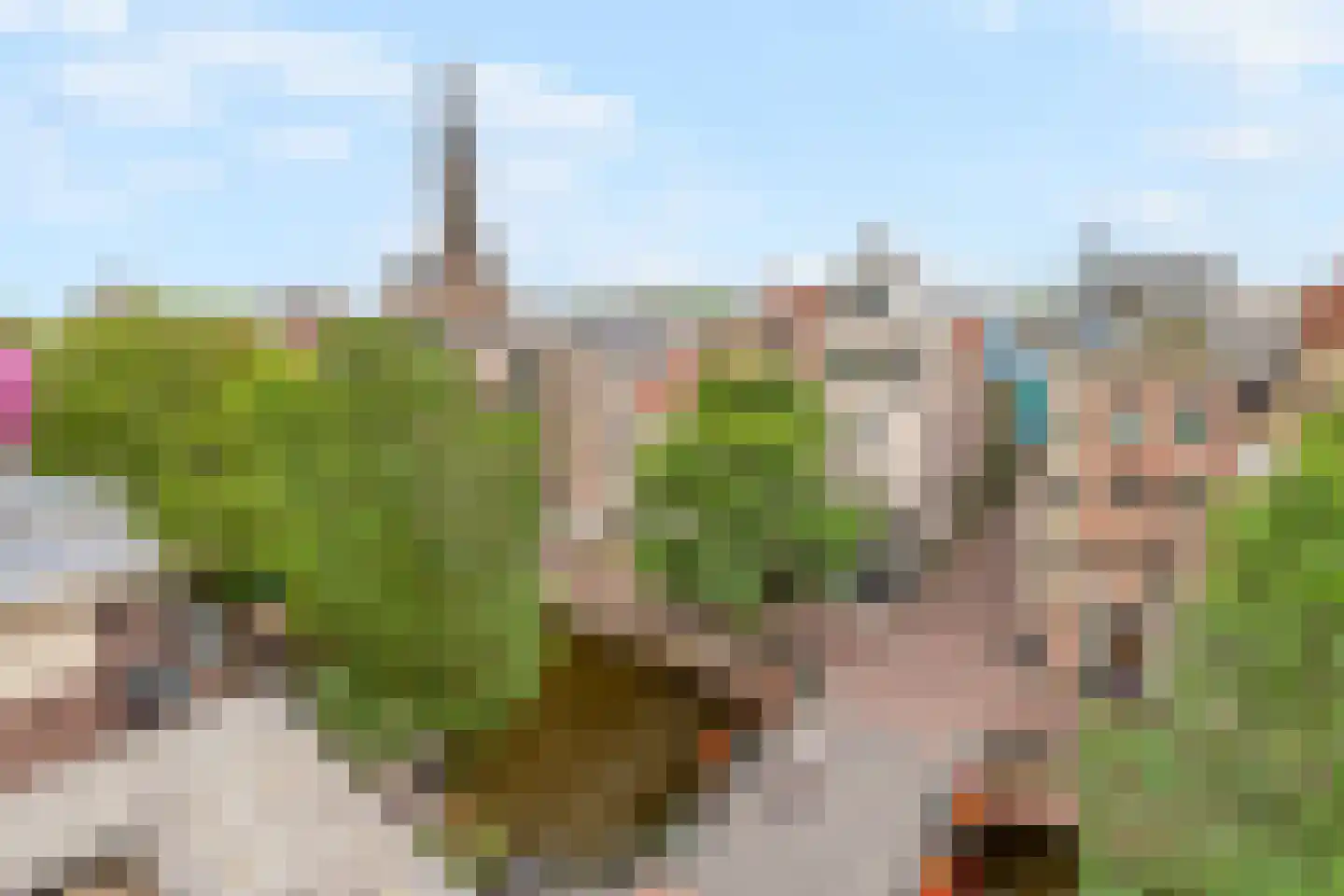 Tweede Leliedwarsstraat 24 Amsterdam thumbnail 26