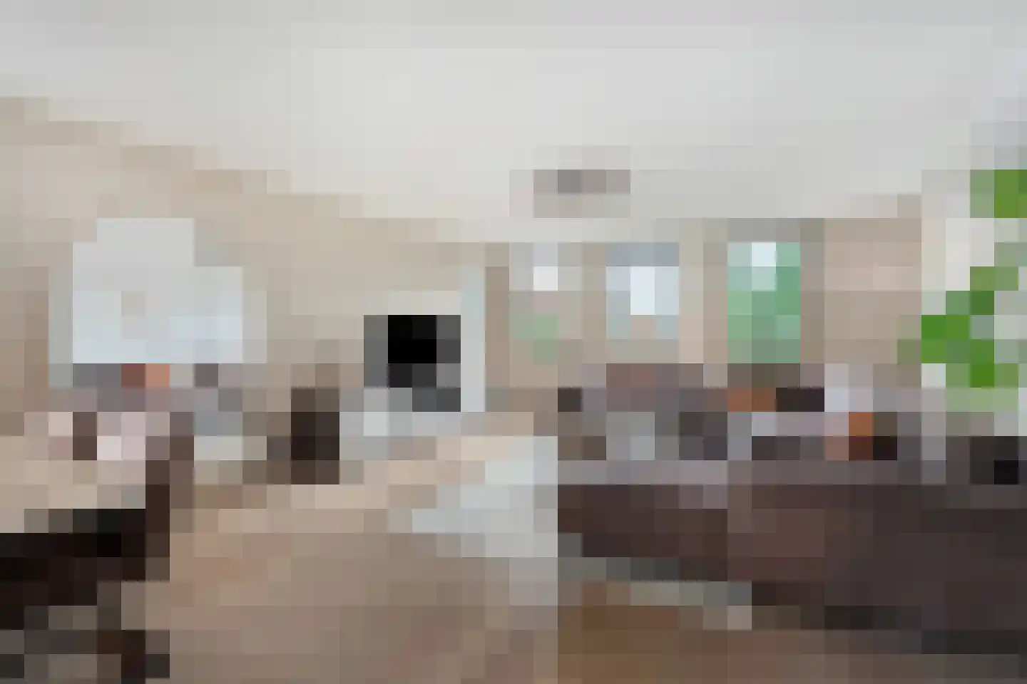 Tweede Leliedwarsstraat 24 Amsterdam thumbnail 5