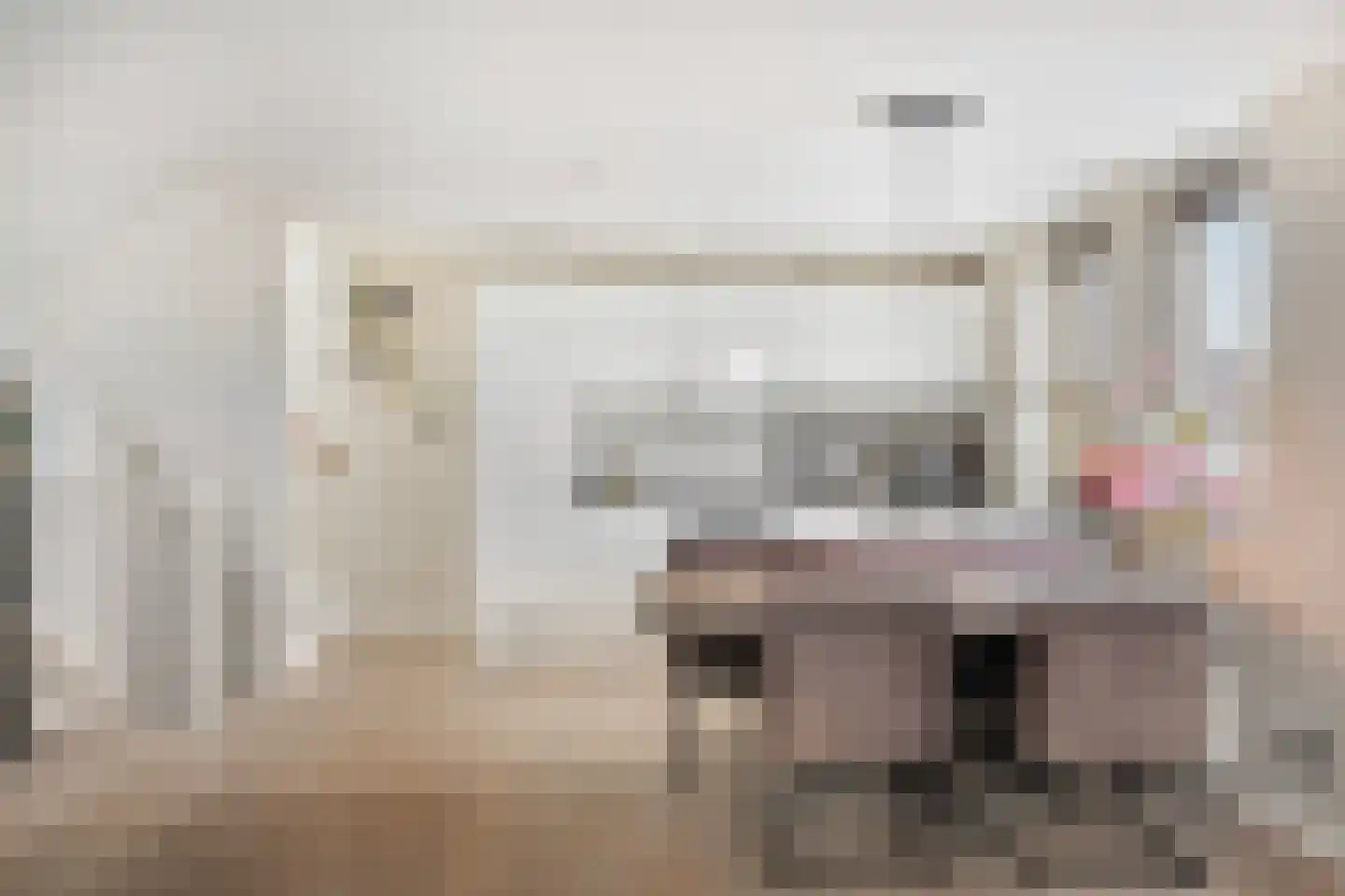 Tweede Leliedwarsstraat 24 Amsterdam thumbnail 8