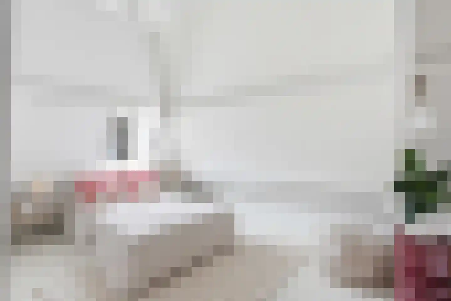 Tweede Leliedwarsstraat 5 2 Amsterdam thumbnail 23