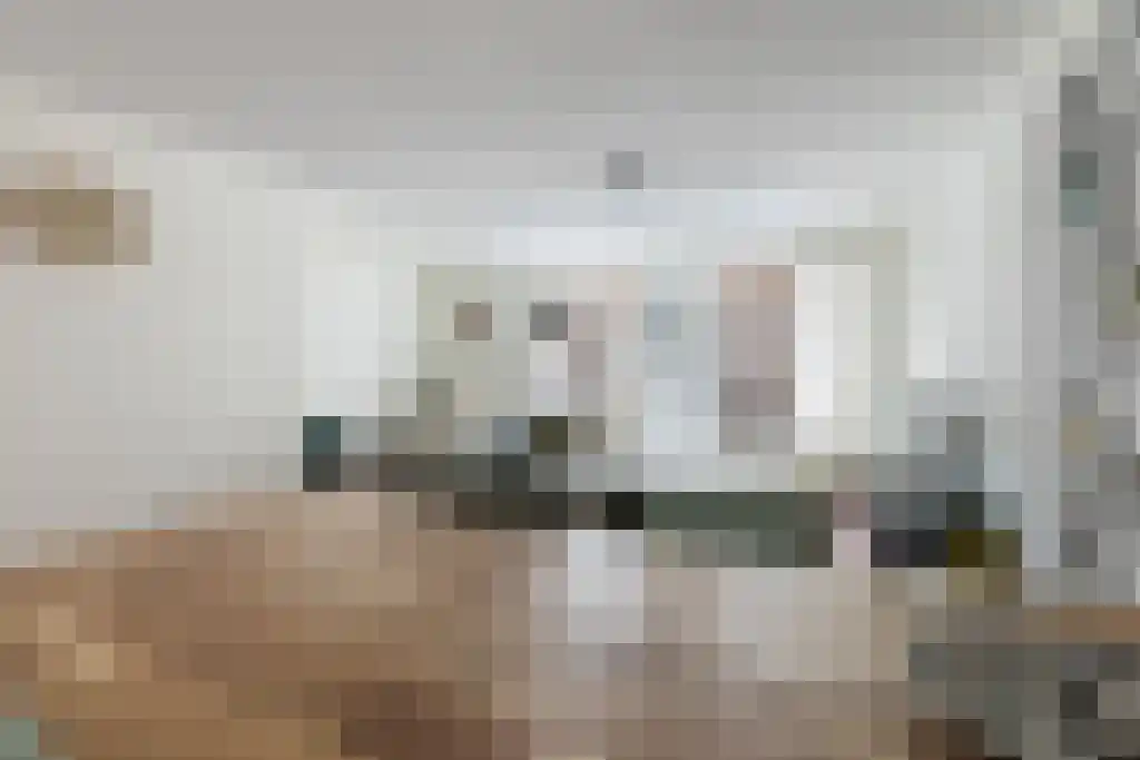 Tweede Looiersdwarsstraat 3 B Amsterdam thumbnail 6