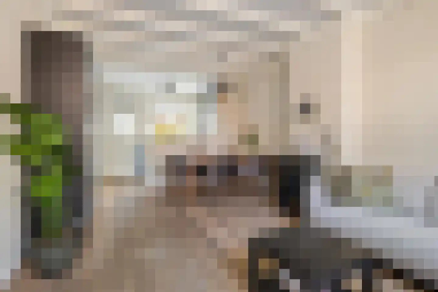 Tweede Markstraat 1 Breda thumbnail 16