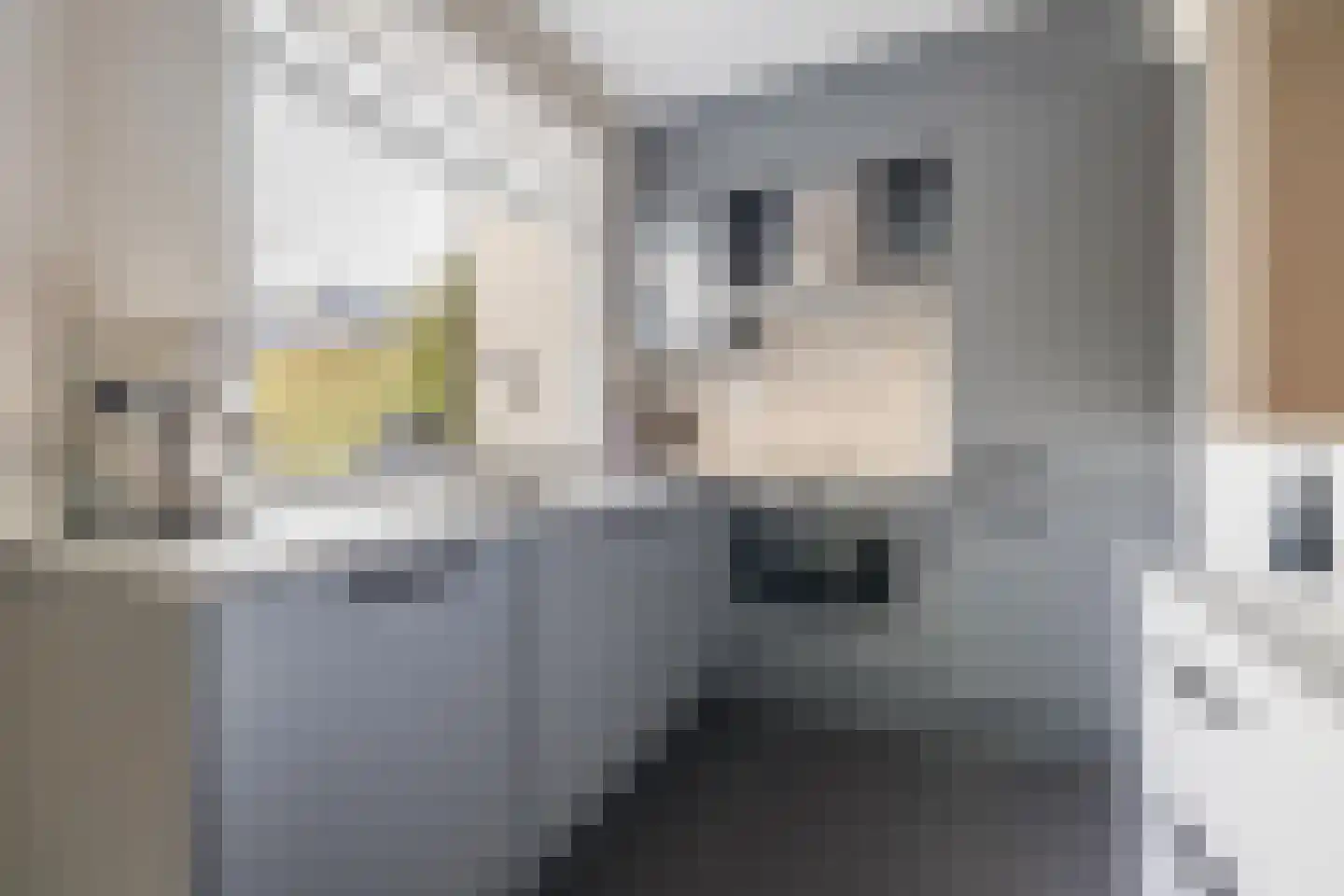 Tweede Markstraat 1 Breda thumbnail 22