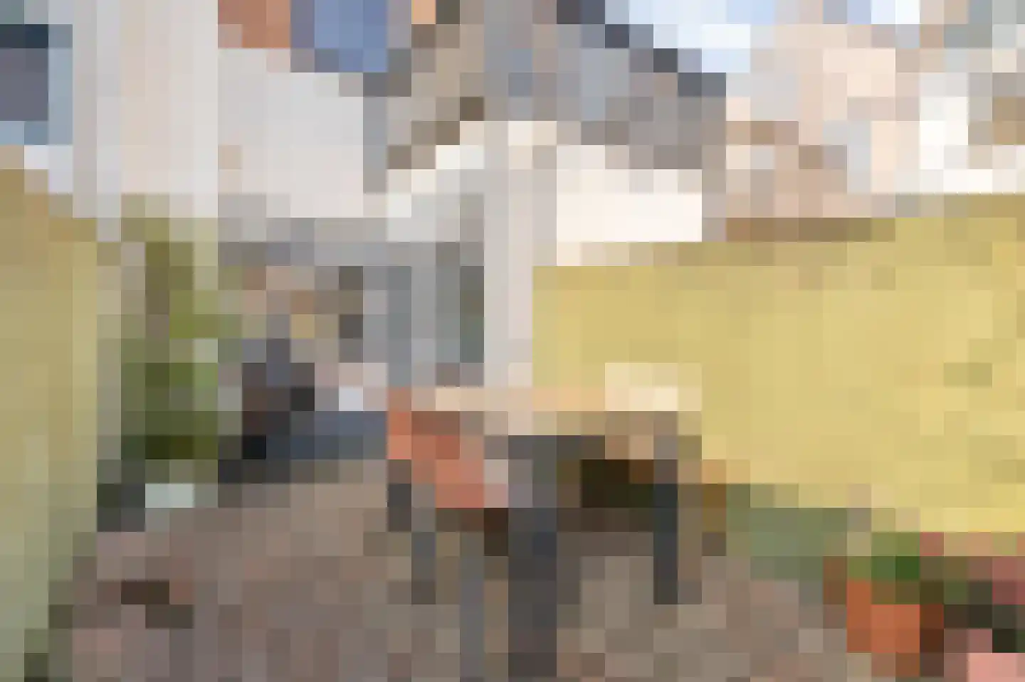 Tweede Markstraat 1 Breda thumbnail 53