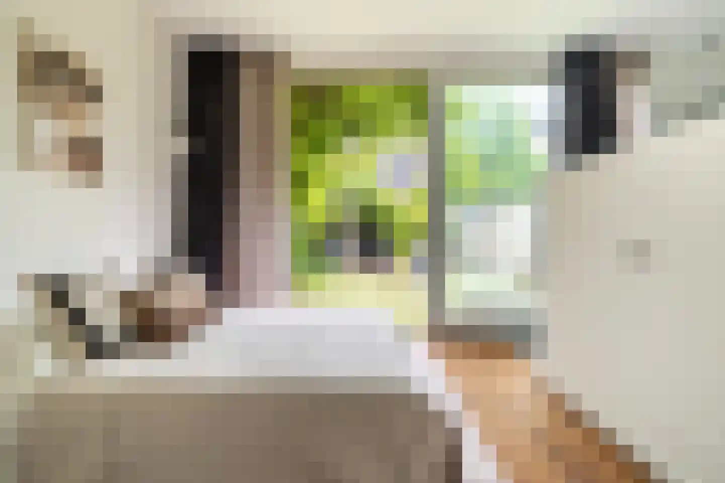 Tweede Markstraat 10 Breda thumbnail 25