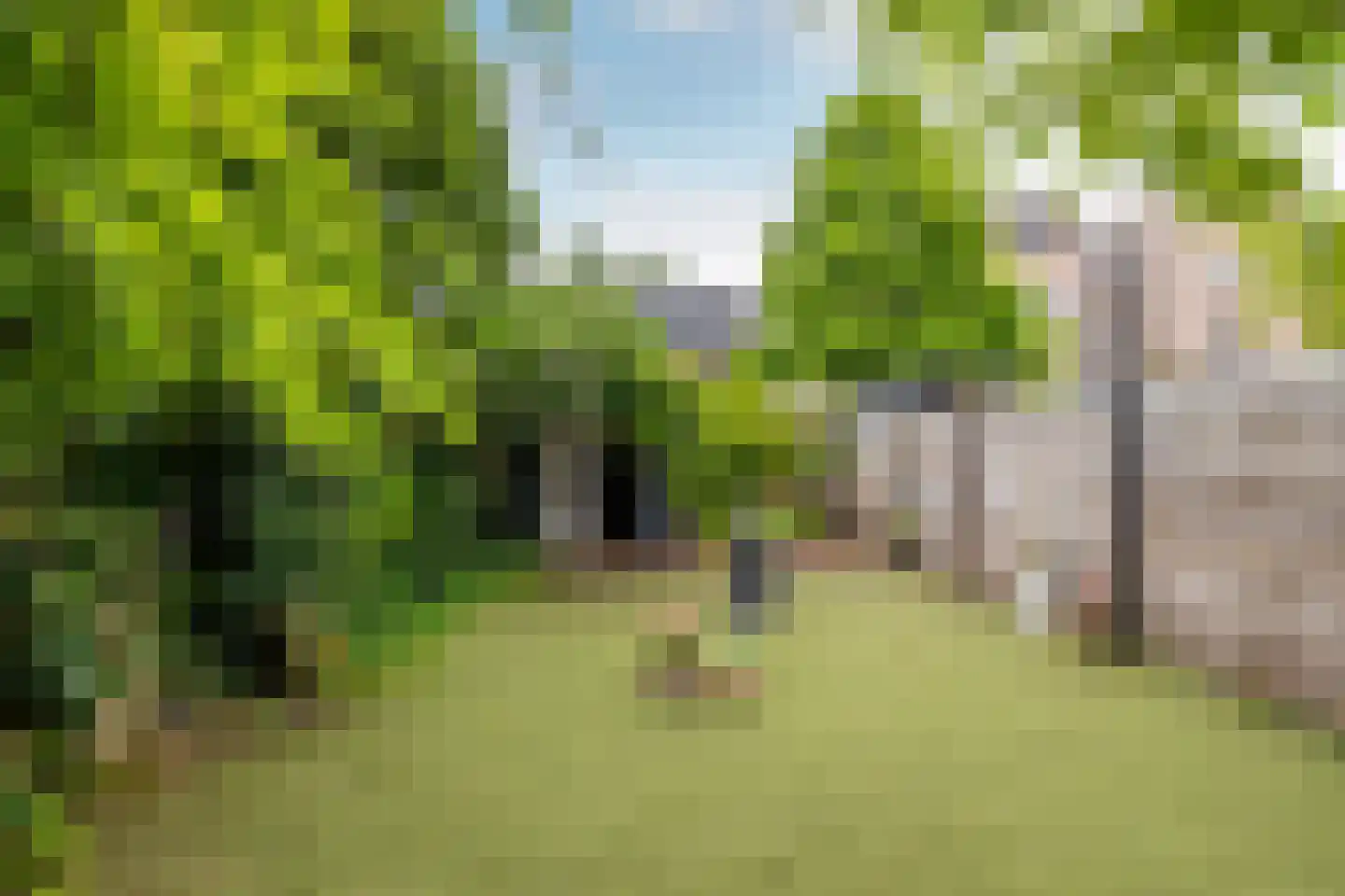 Tweede Markstraat 10 Breda thumbnail 27