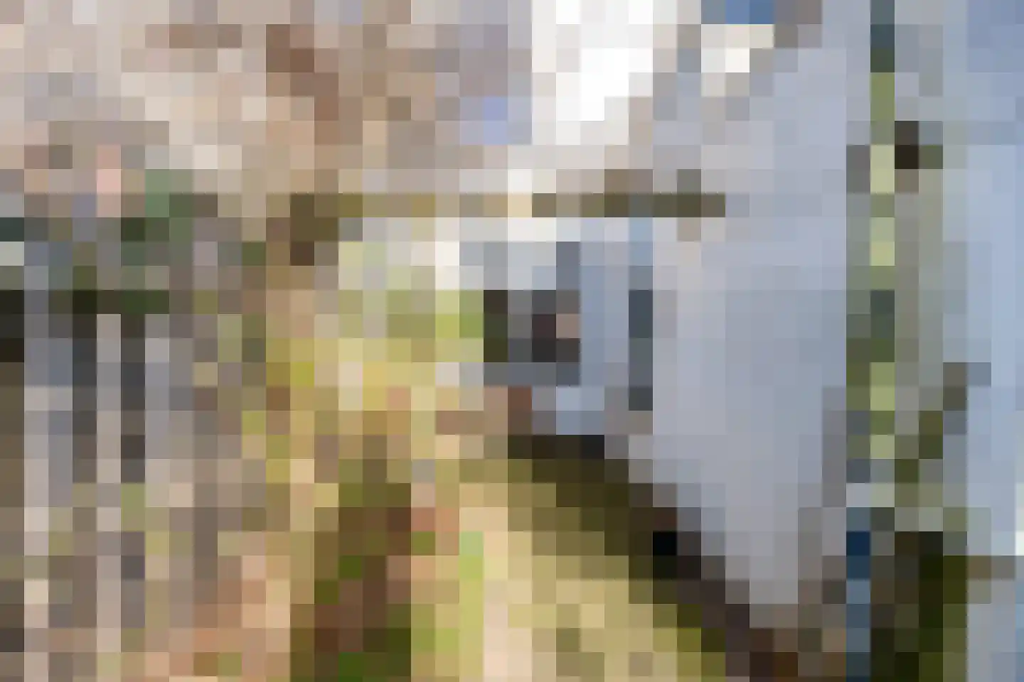 Tweede Markstraat 12 Breda thumbnail 62