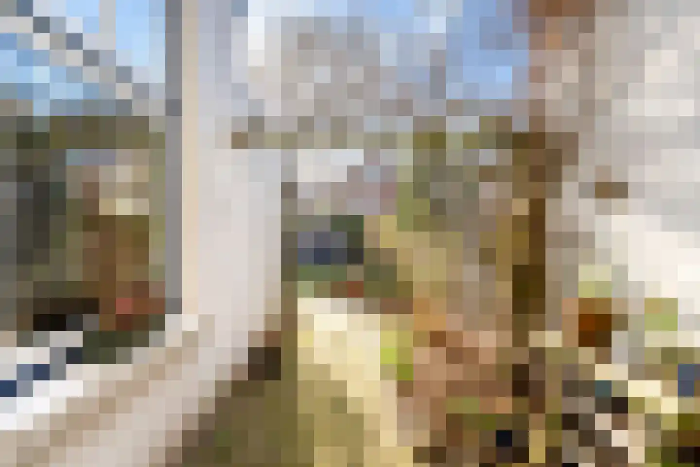 Tweede Markstraat 12 Breda thumbnail 66