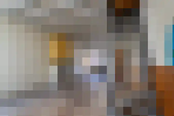 Tweede Markstraat 24 Breda thumbnail 4