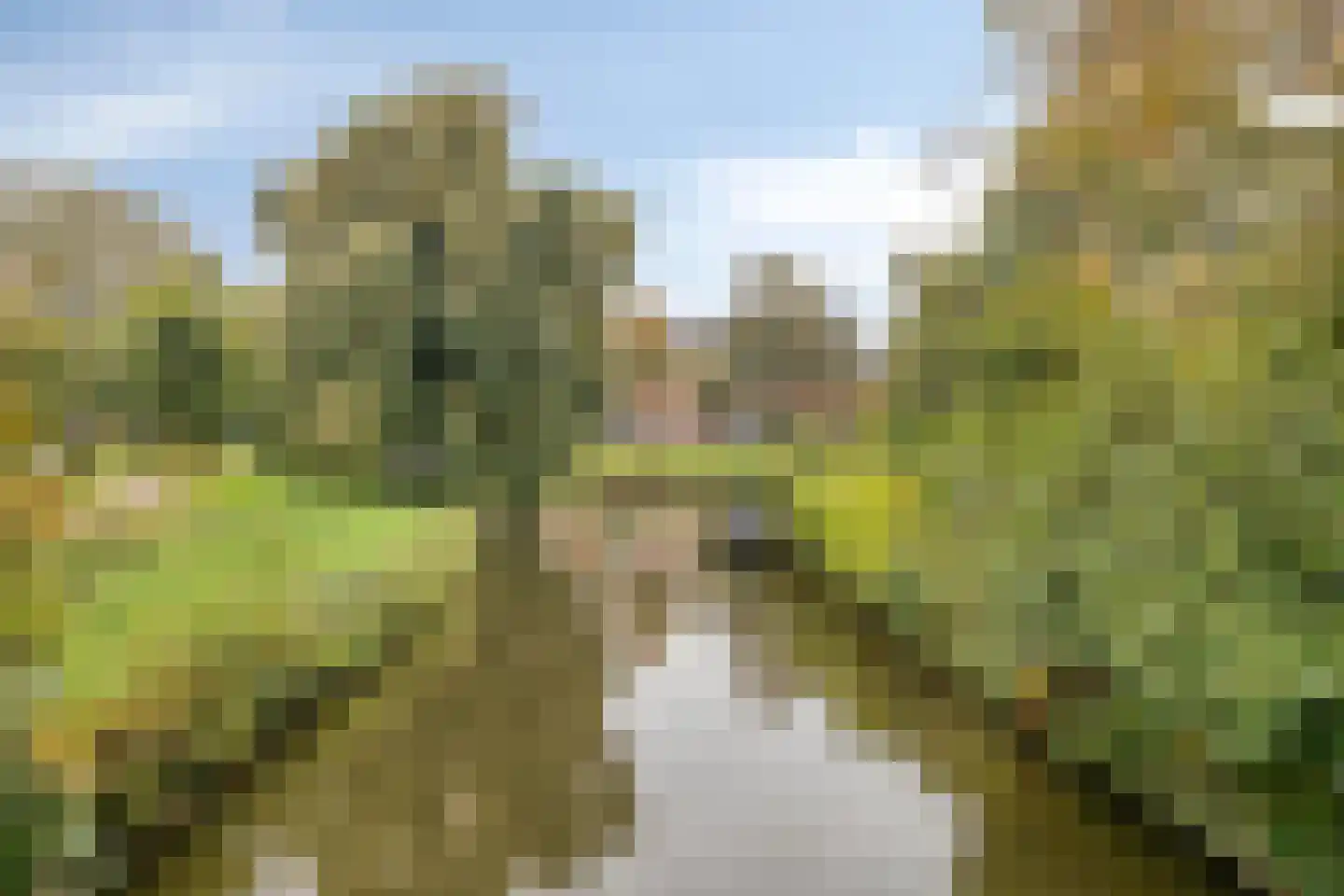 Tweede Markstraat 6 Breda thumbnail 60
