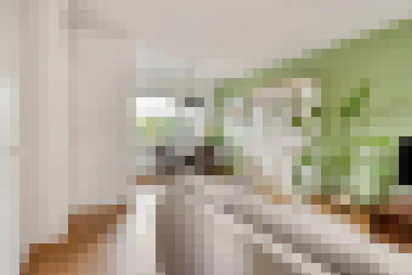 Tweede Markstraat 6 Breda thumbnail 8