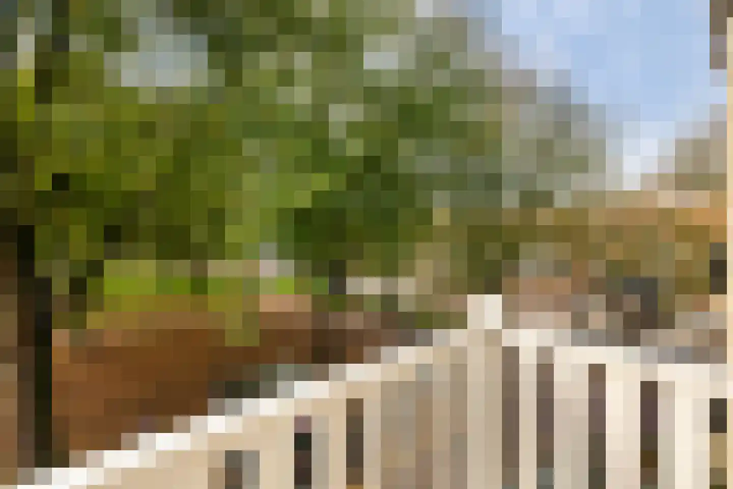 Tweede Marnixplantsoen 2 C Amsterdam thumbnail 5