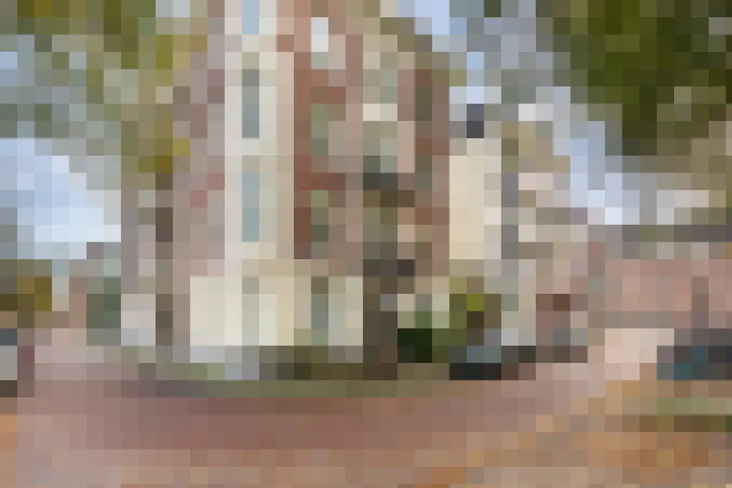 Tweede Marnixplantsoen 2 C Amsterdam thumbnail 6