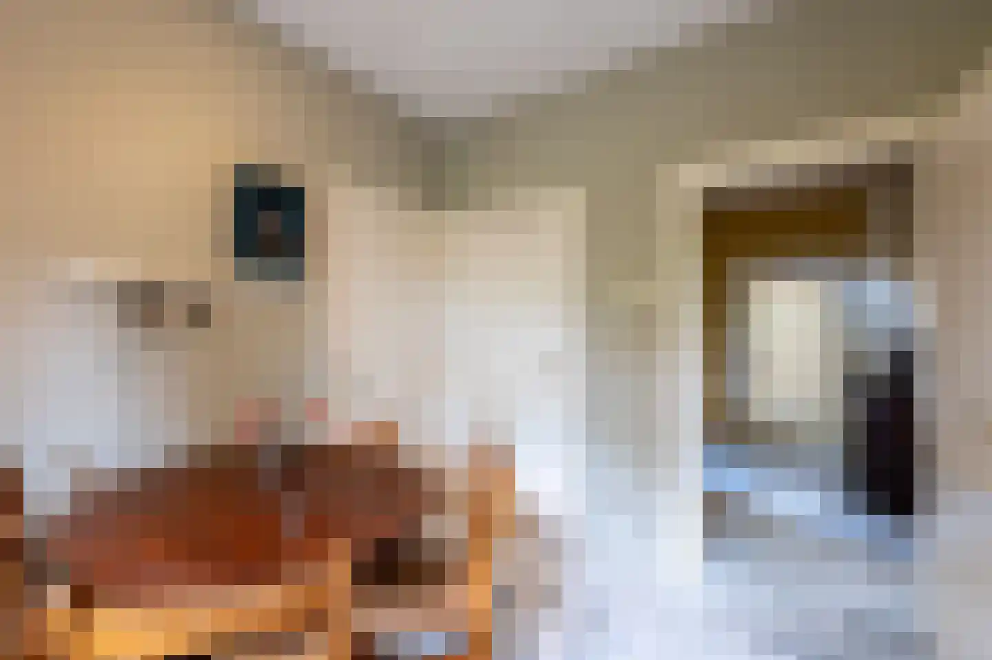 Tweede Molenweg 10 Blaricum thumbnail 14