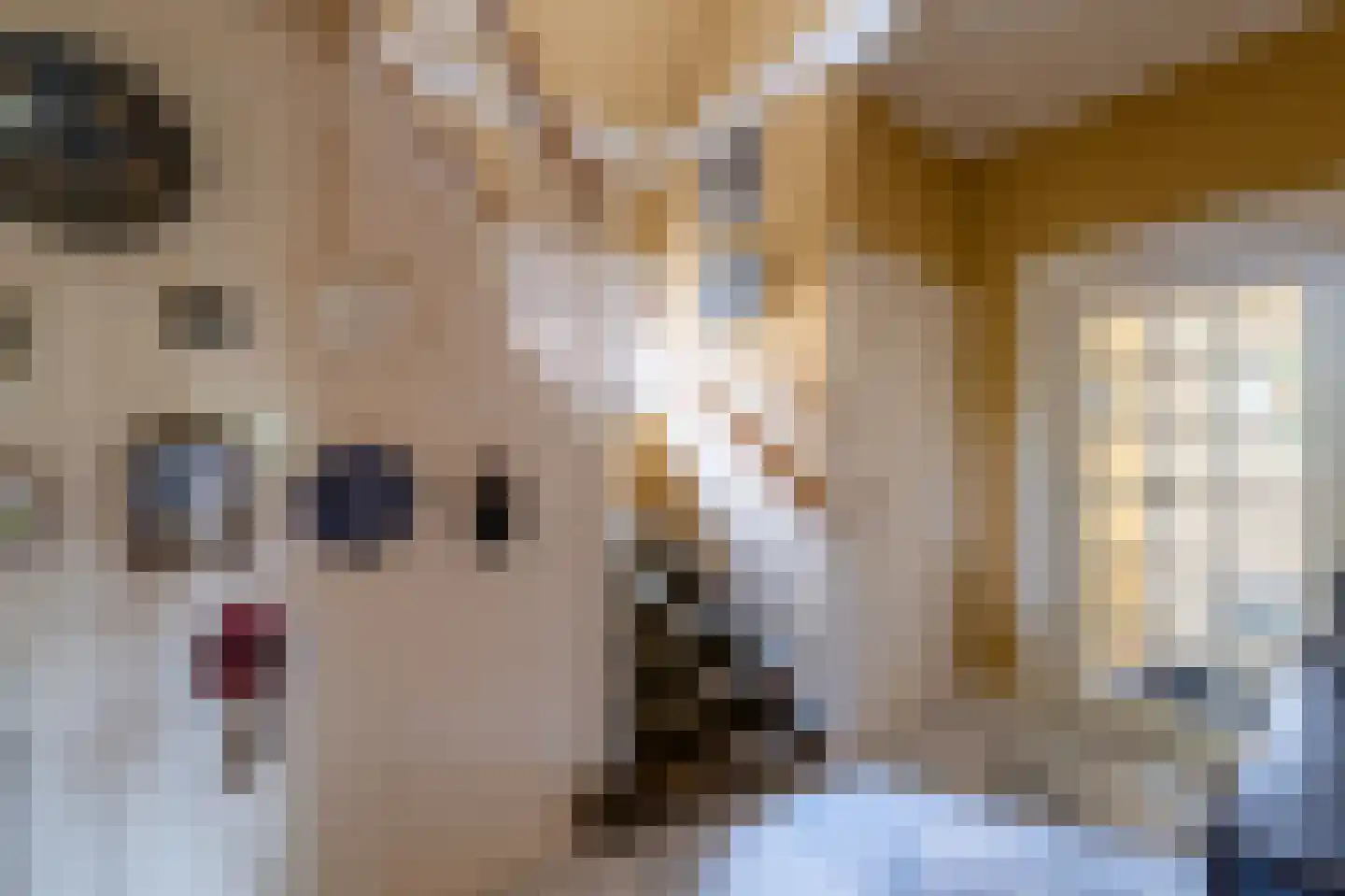 Tweede Molenweg 10 Blaricum thumbnail 15