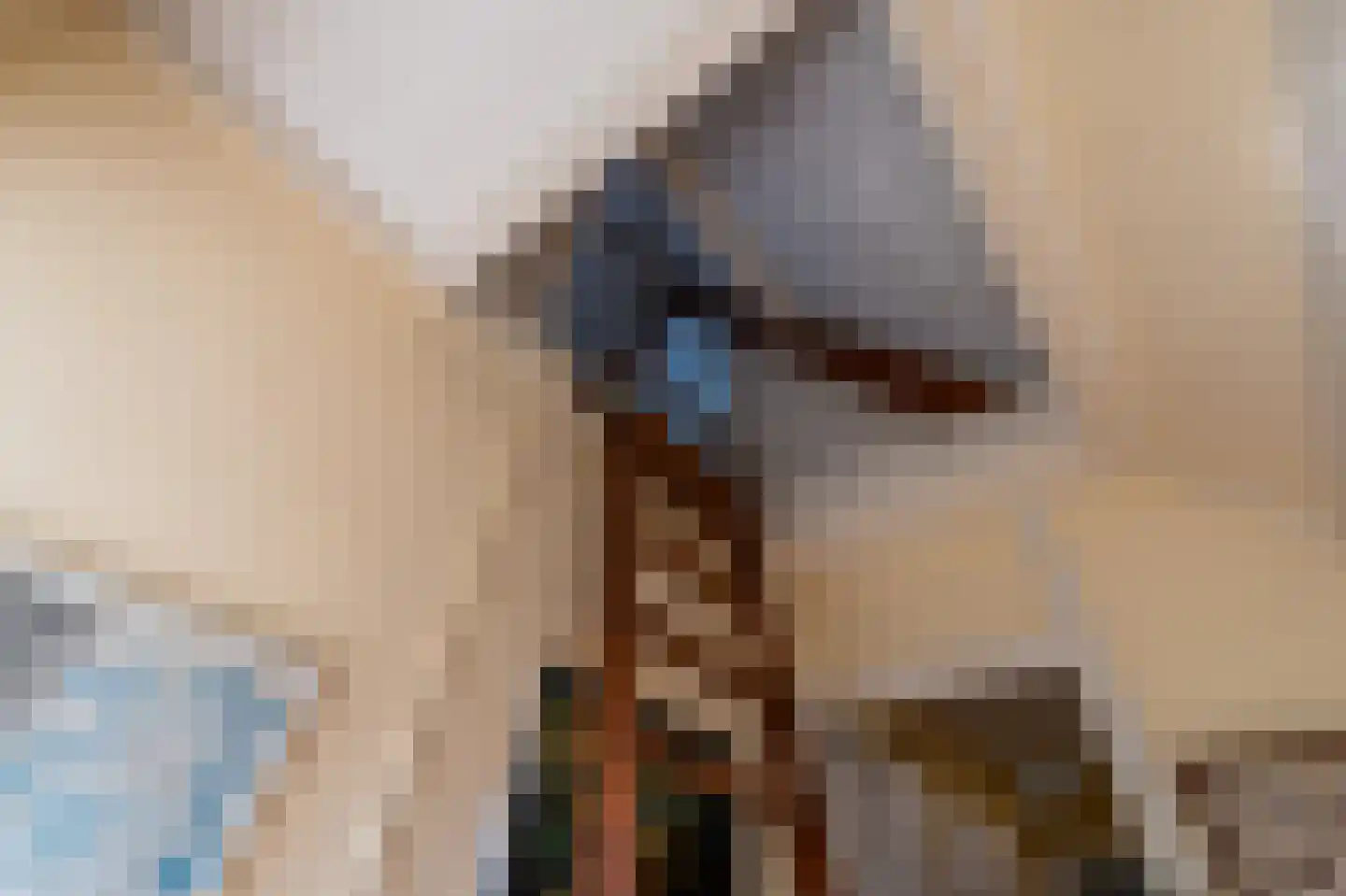 Tweede Molenweg 10 Blaricum thumbnail 24