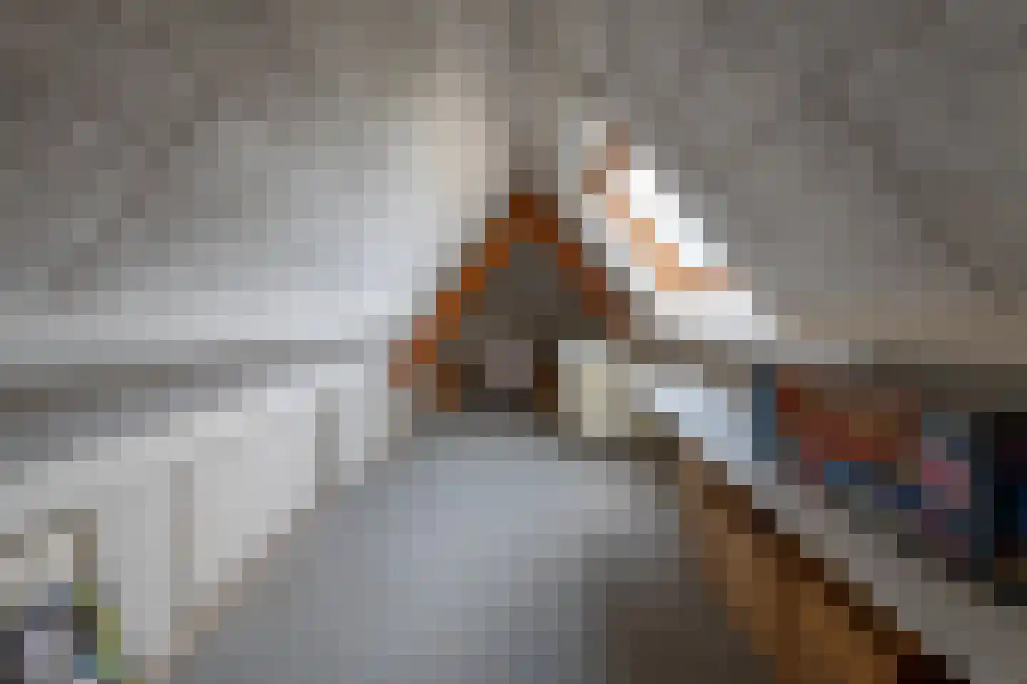 Tweede Molenweg 10 Blaricum thumbnail 25