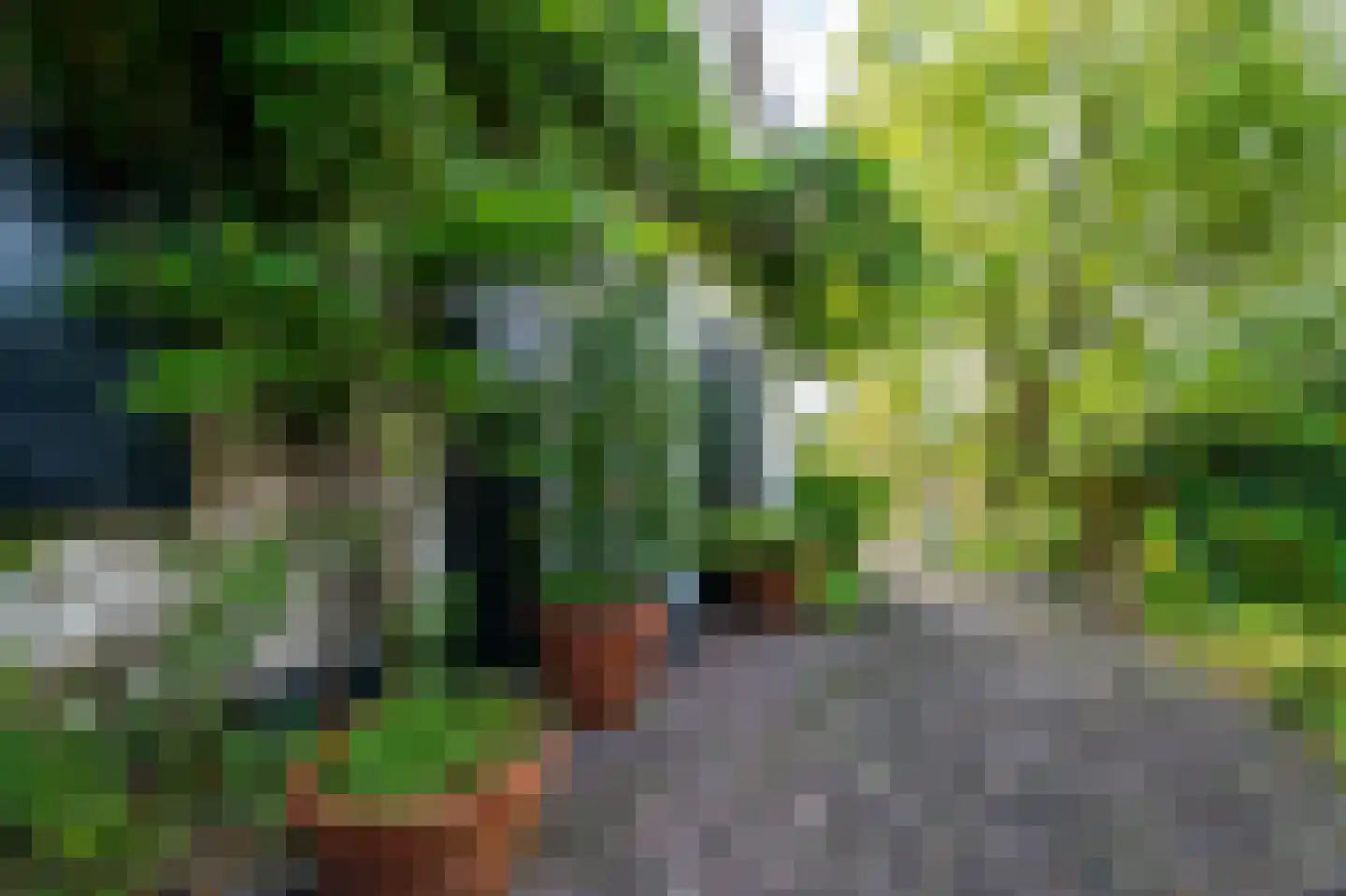 Tweede Molenweg 10 Blaricum thumbnail 34