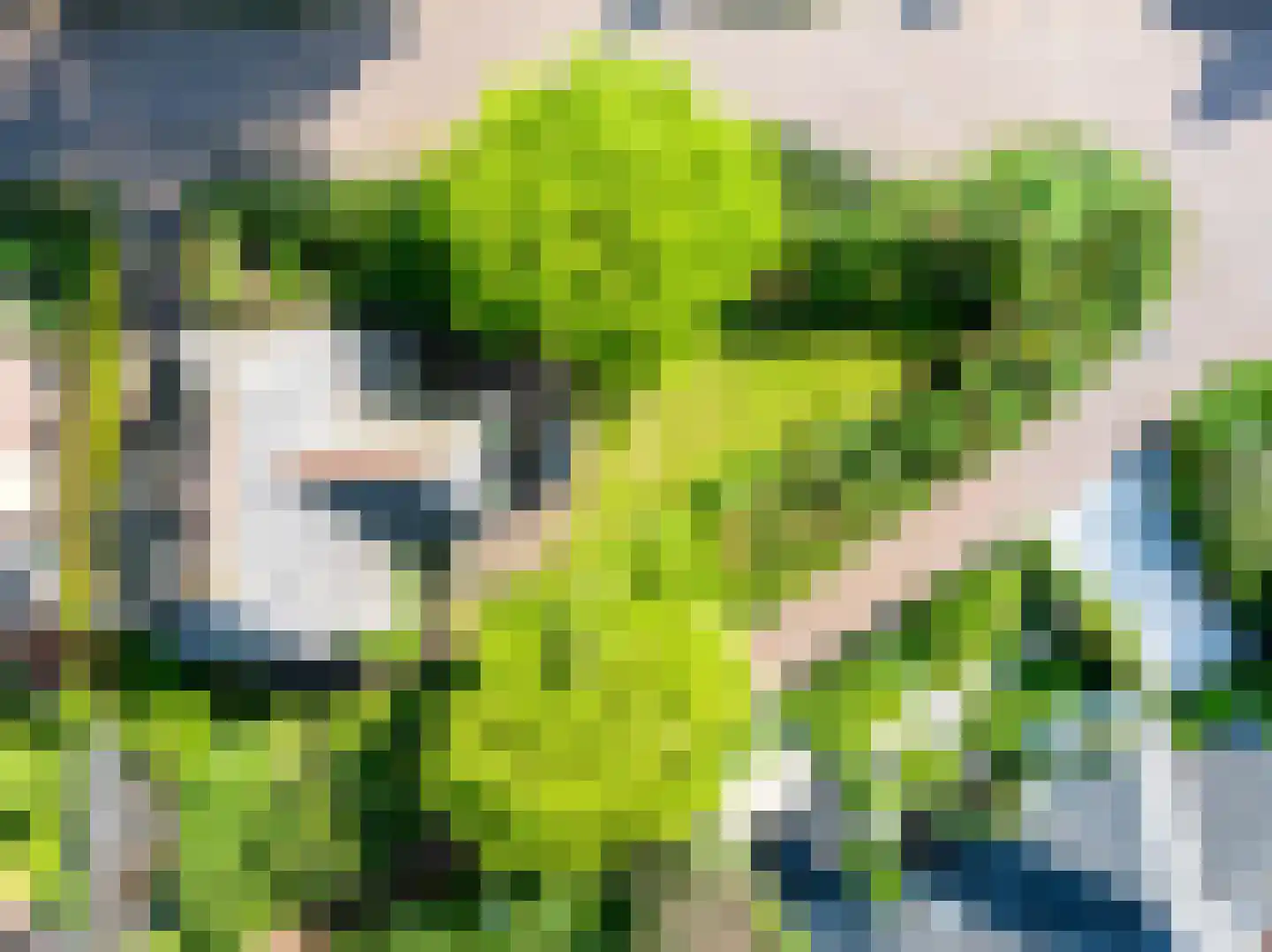 Tweede Molenweg 10 Blaricum thumbnail 35